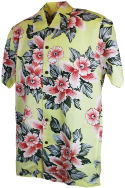 Chemise hawaïenne beige homme