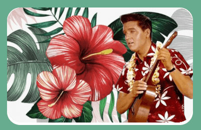 Chemises Hawaïennes